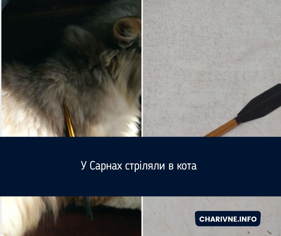 Фото ілюстративне